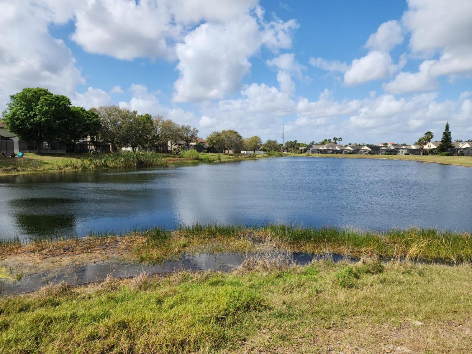 Scuttle Vacation Pool Home Wspa Orlando Ngoại thất bức ảnh